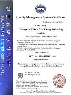 Quality Management System Certificate (EN)